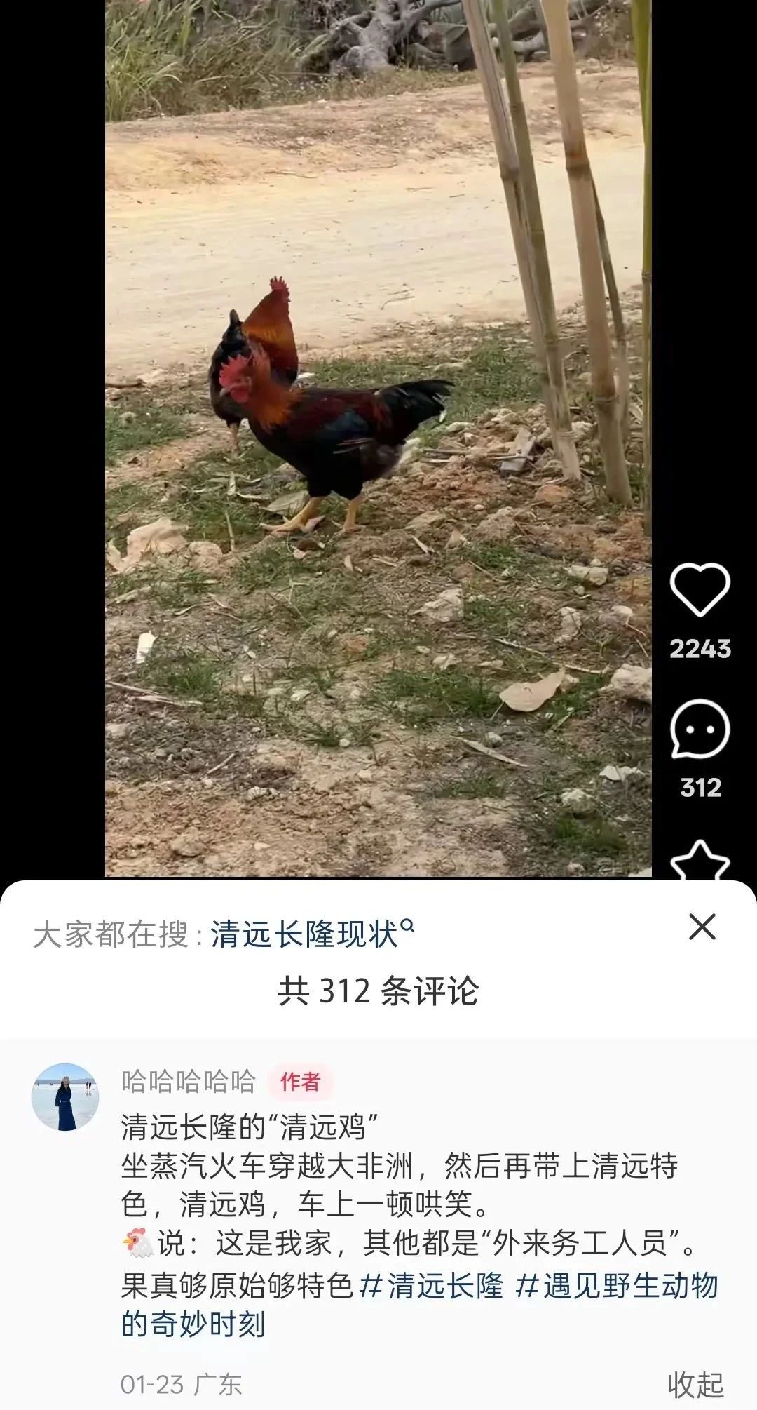 春节后广东持续火爆，魅力何在？