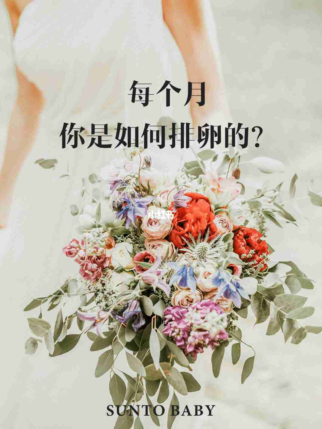 每个月你都是如何排卵的呢