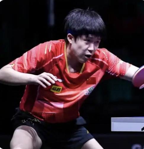 乒乓球澳门站雨果和张本智和的出局，如果不出现意外，中国男乒将包揽男单冠、亚军，预