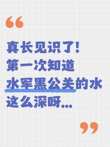 第一次知道水军黑公关的水这么深...最近这个网络环境真的糟糕透了，我一个个小
