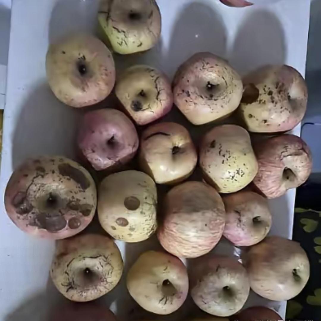 今天收到姑姑寄的一箱红富士，拆开全是烂的。气得我直接倒进楼道垃圾桶，正想发脾气，