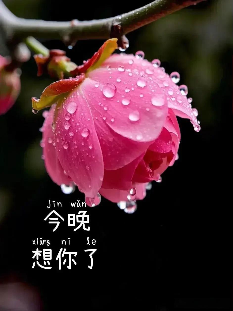 你明明知道我很爱你也知道我在等你更知道我舍不得放弃你你什么都知道为什么