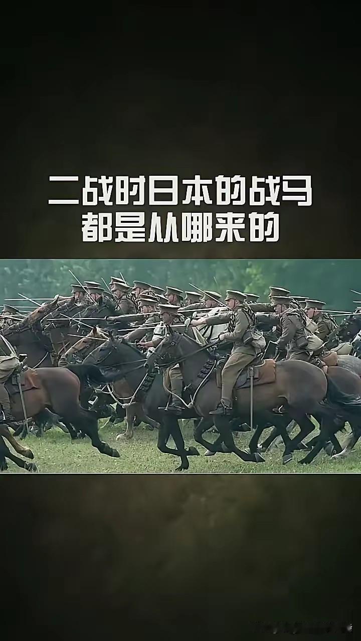 抗战胜利后，七万多匹日本军马成了烫手山芋！这些东洋马可不是普通牲口，当年小鬼子为