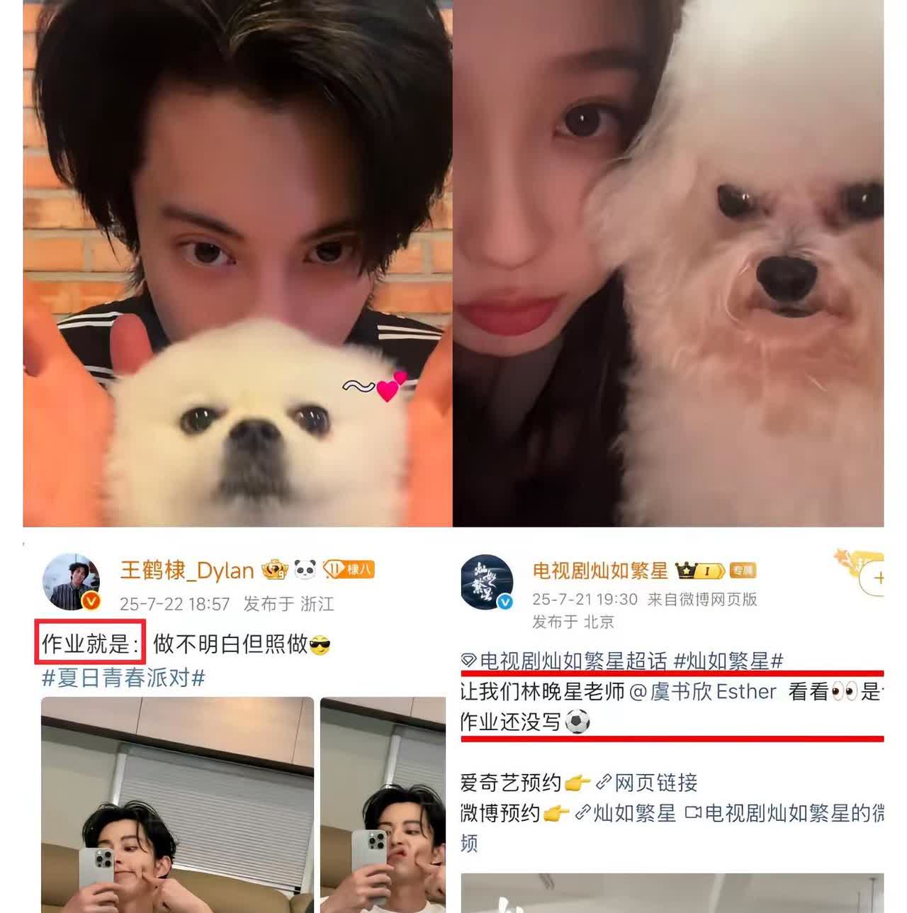 这……不对吧？！豹豹猫猫好大的胆子