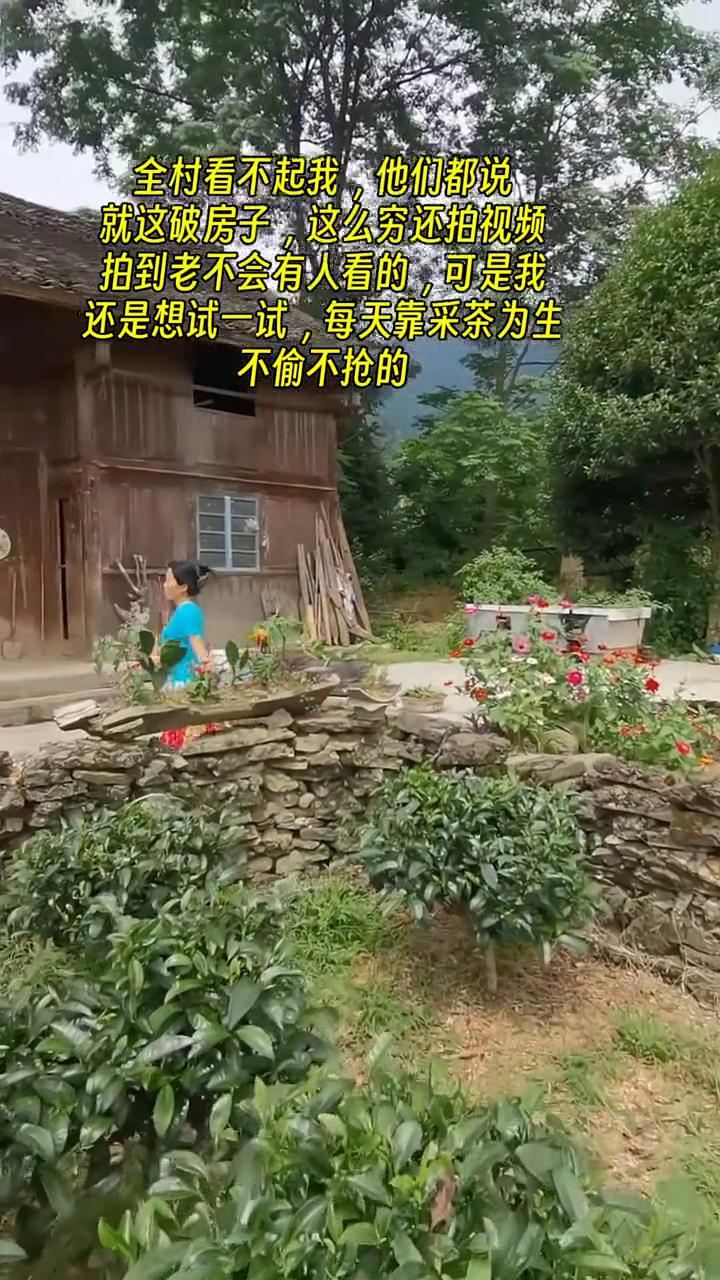 全村看不起我，他们都说就这破房子，这么穷还拍视频，拍到老不会有人看的，可是我还是