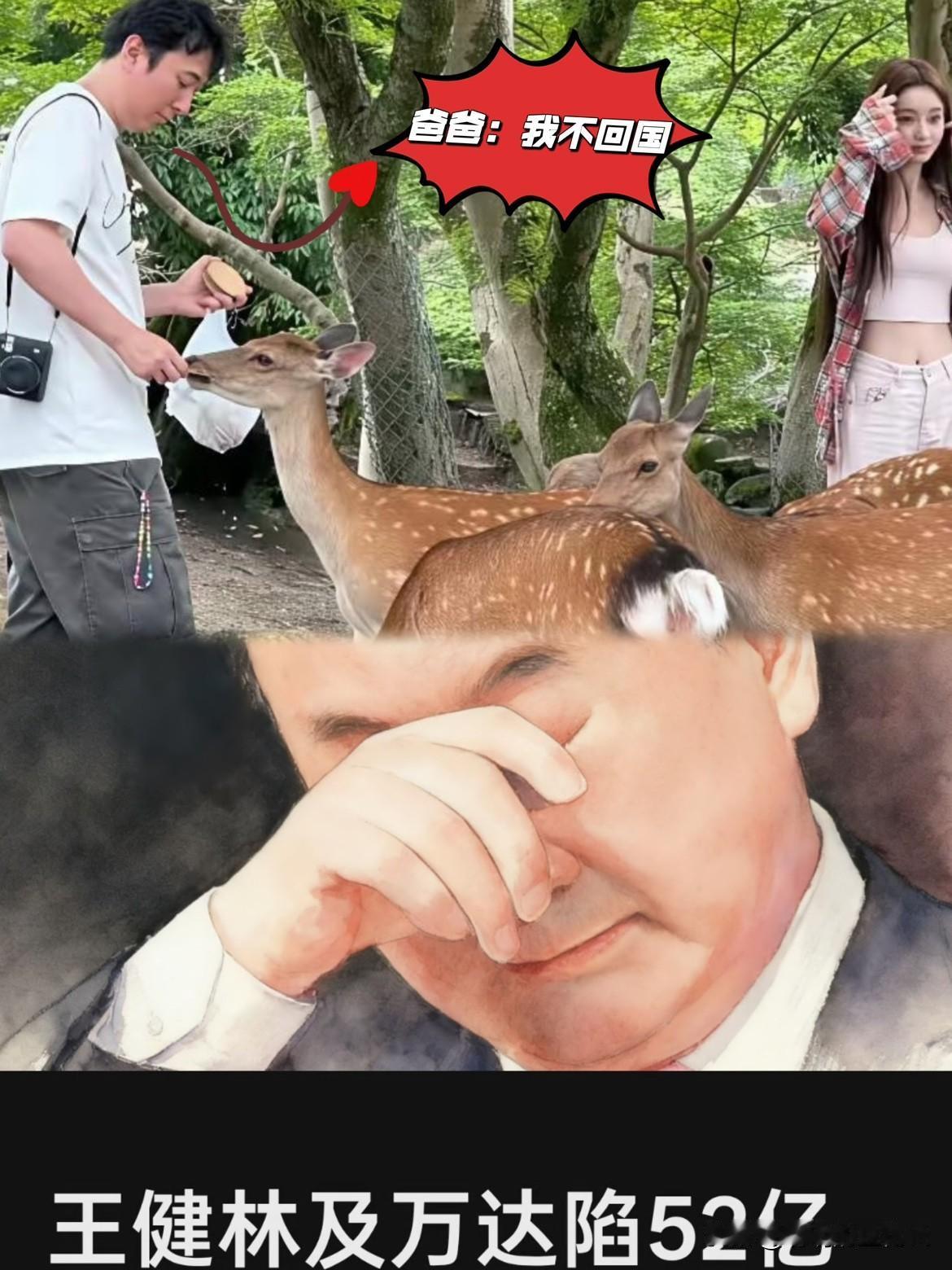 王健林被王思聪抛下了吗？王健林近几日日子过得不太好，强制执行4亿多，他名下的