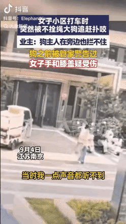 “必须严惩！”江苏南京，一女子在小区里等车时，突然有只狗朝她扑了过来。狗主人看到