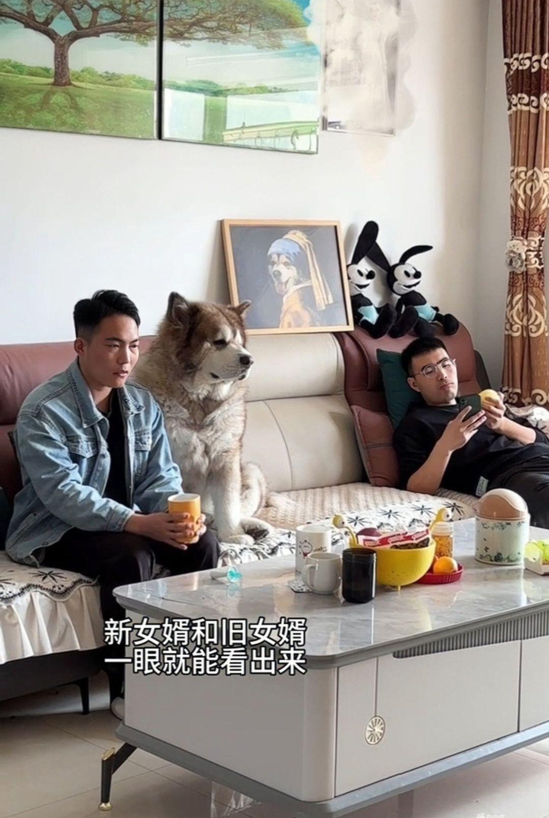 两女婿同一天来老丈人家，新旧女婿的区别，你能一眼看出来吗？