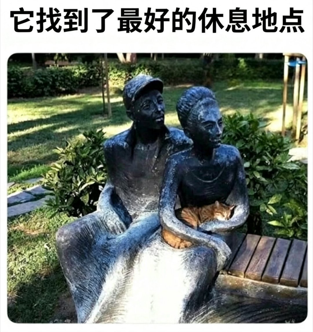 量身定做memes