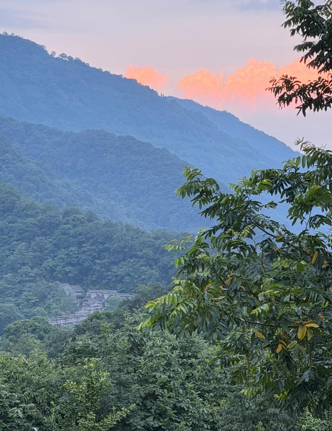 四川人一到周末就钻进青城山吗青城山后山避暑很值得！清清凉凉，一路都有流水、满眼