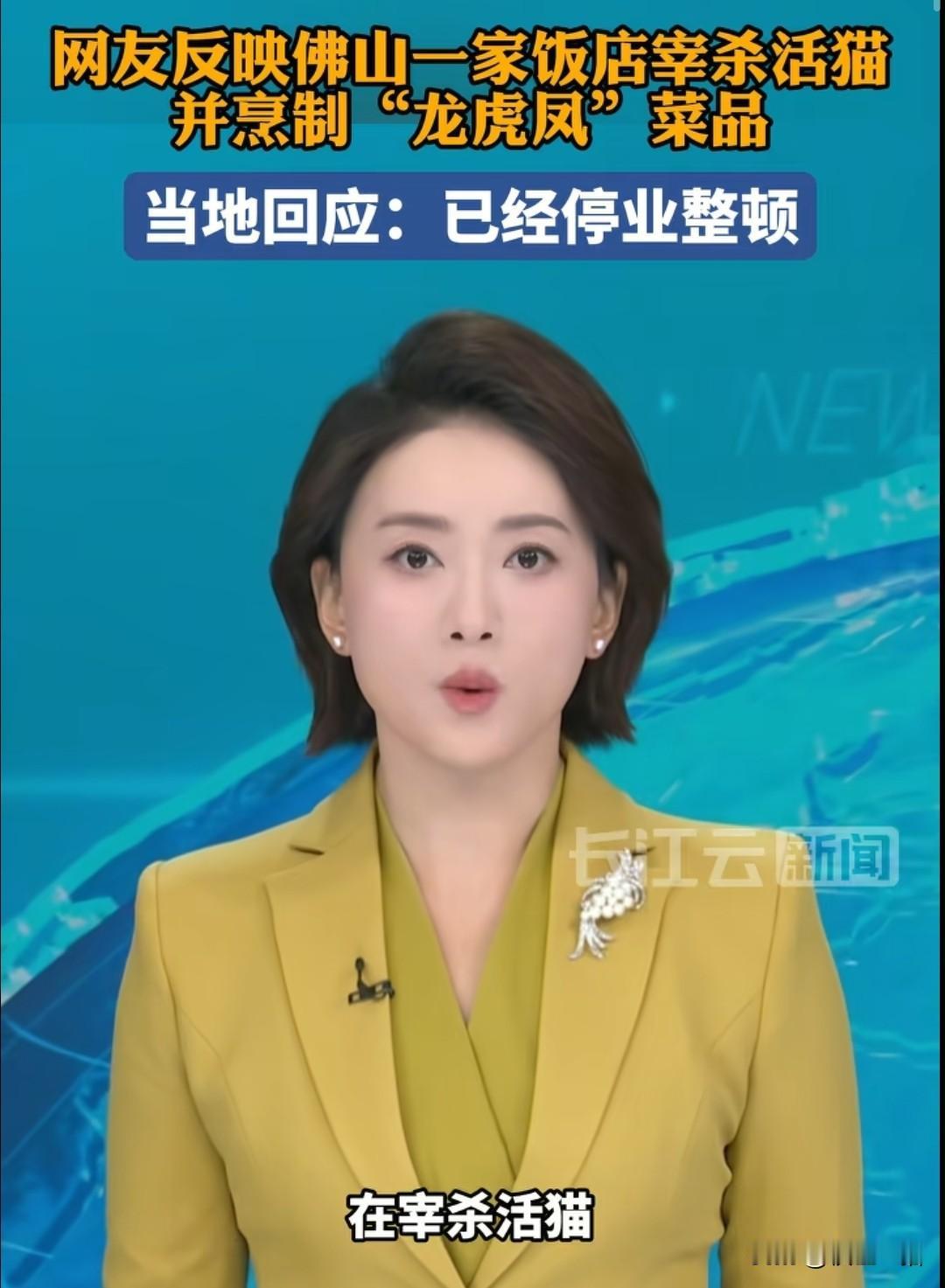 “打破了我对中国人不吃猫的概念”，这你能吃得下去，想吃猫肉还要提前预约，还是现