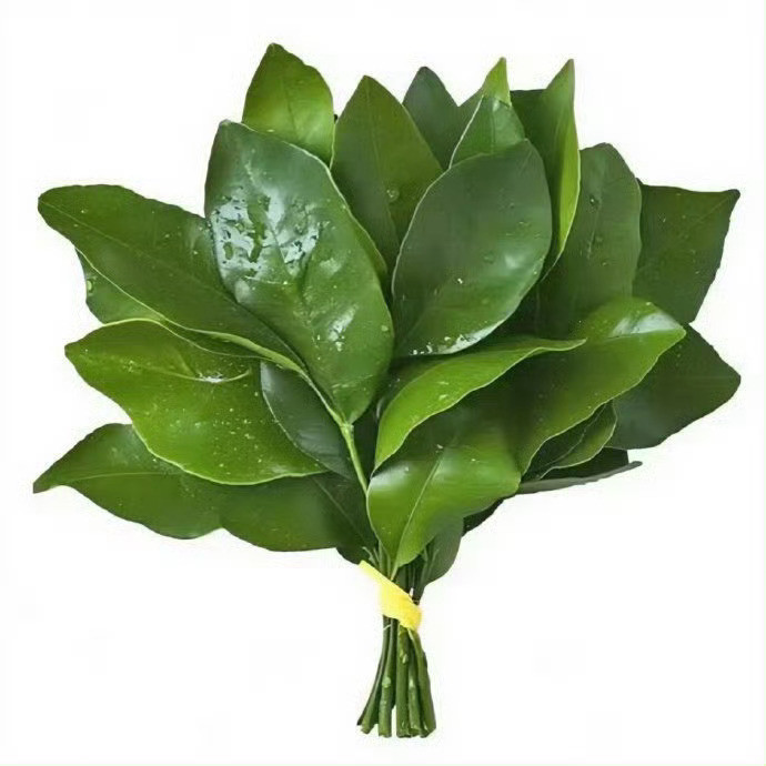 单纯一个手段已经不够了柚子叶跨火盆踩小人三件套一起上今天干啥了怎么邪门的事情一箩