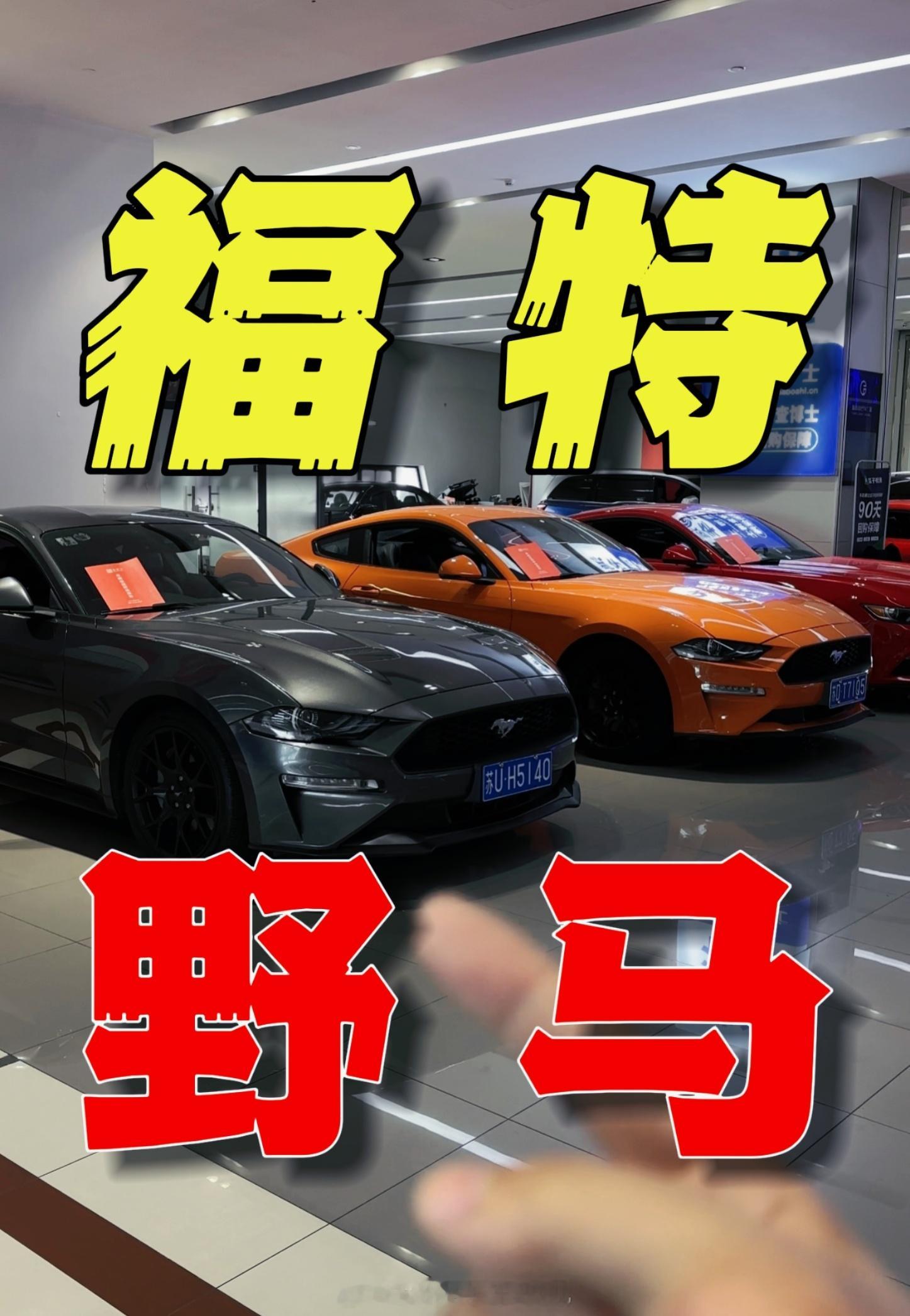 生日快乐！！身份证上的生日！！两天卖3台车爽了好久没这么痛快了接下来要努力收