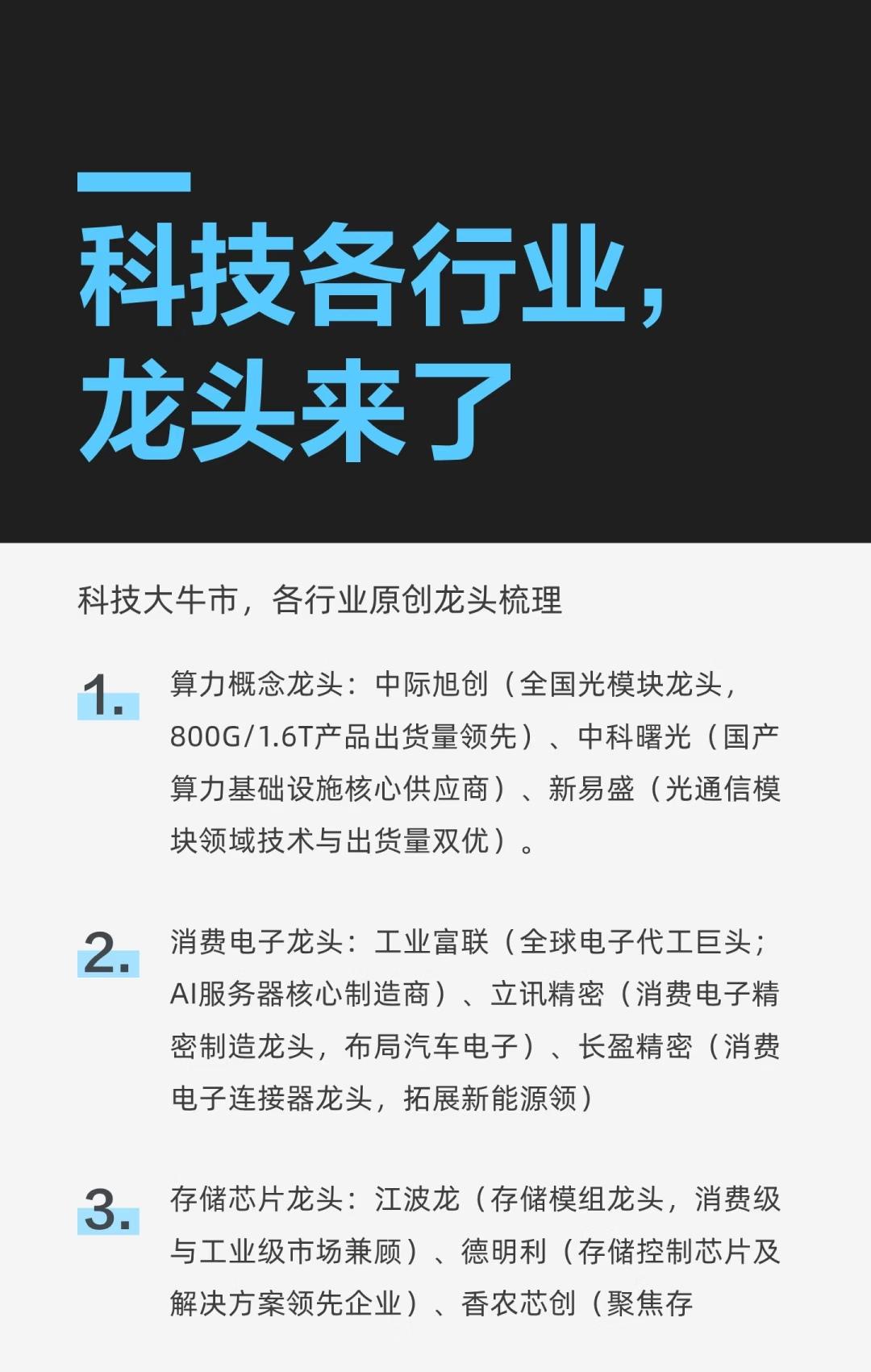 当前科技行业多个细分领域的龙头企业和核心竞争力，具体内容如下：第一张图聚焦科