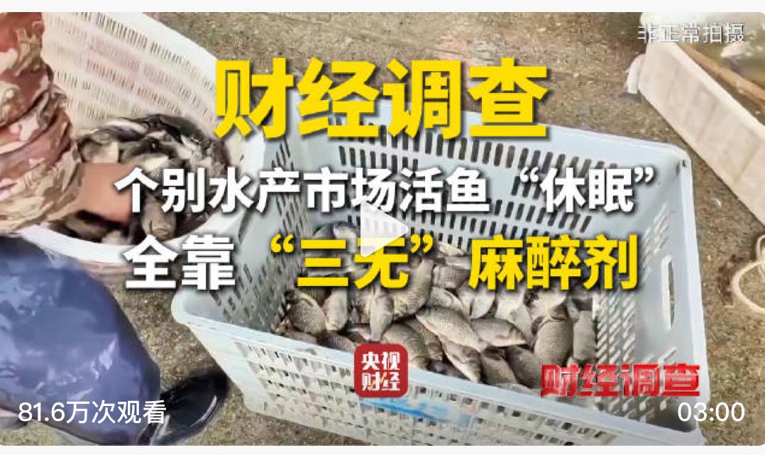 爱吃活鱼的人天塌了，工业酒精稀释麻醉剂，方便活鱼运输，无疑是在投毒？央视财经记者