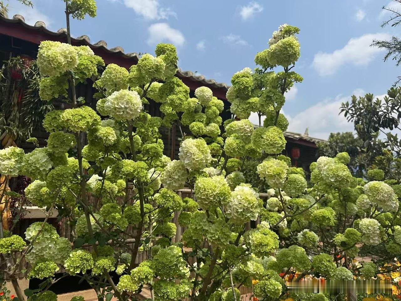 夏天来了，咋样让自己变瘦？每一顿饭都不让自己吃饱，效果竟然出乎意料的好。