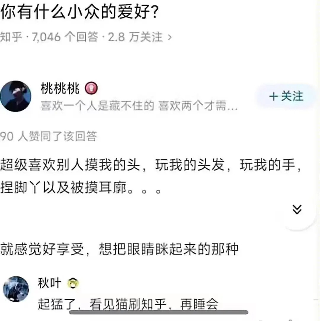 应该是小狗，小猫摸一会就要揍你了[笑着哭]​​​
