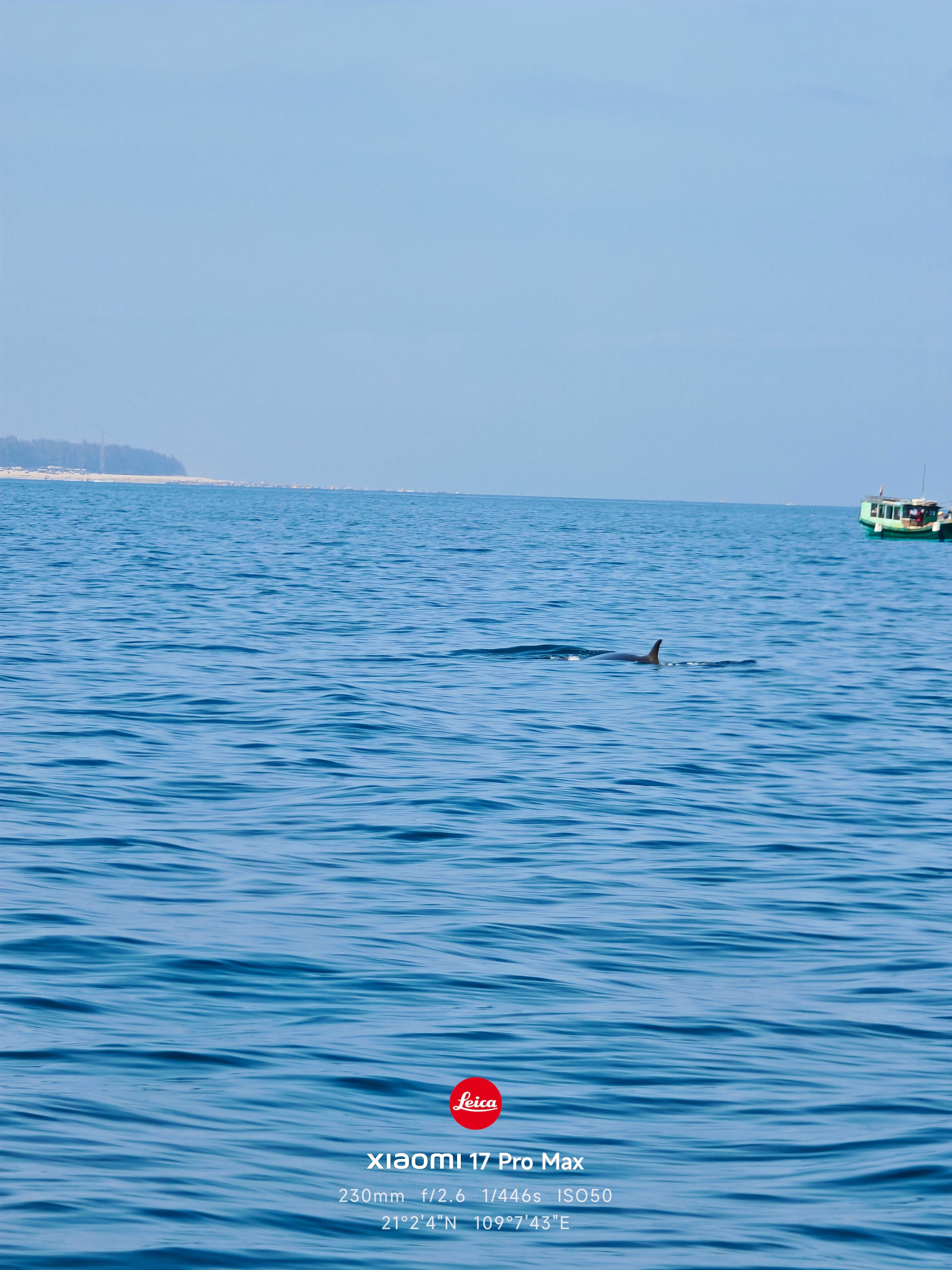 广西涠洲岛观鲸，当时应该40艘船，浩浩荡荡过去看布氏鲸，总共就70多只，每次能看