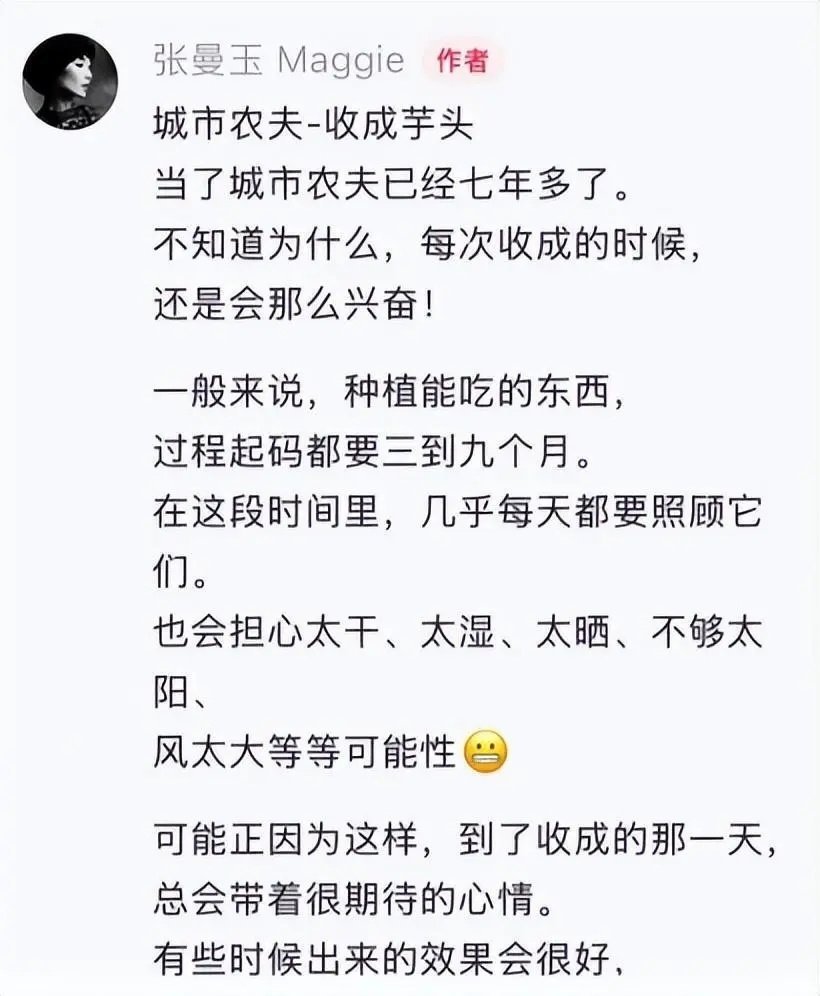 张曼玉香港豪宅阳台种芋头！61岁素颜出镜，蹲阳台刨芋头，农具齐全手法娴熟！