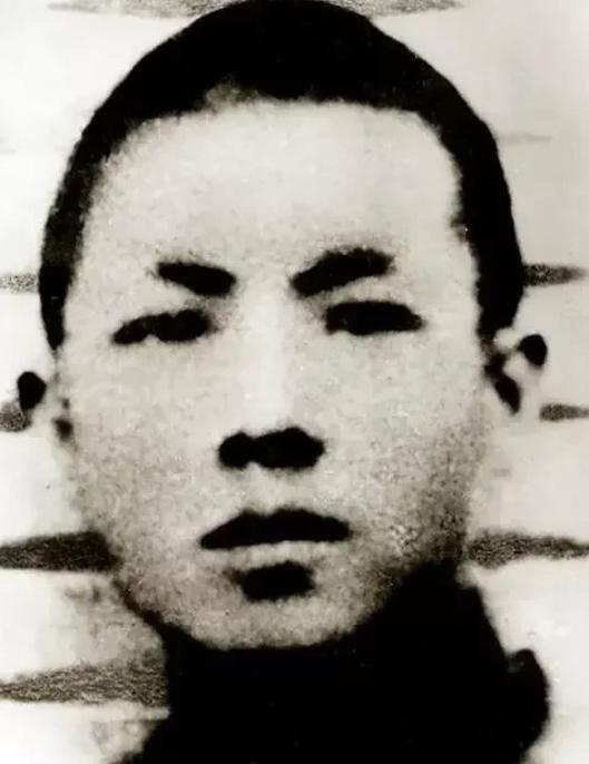 1938年，明知家中有日军，煤矿工人节振国偏向虎山行，他刚进门，几头日寇就气势汹