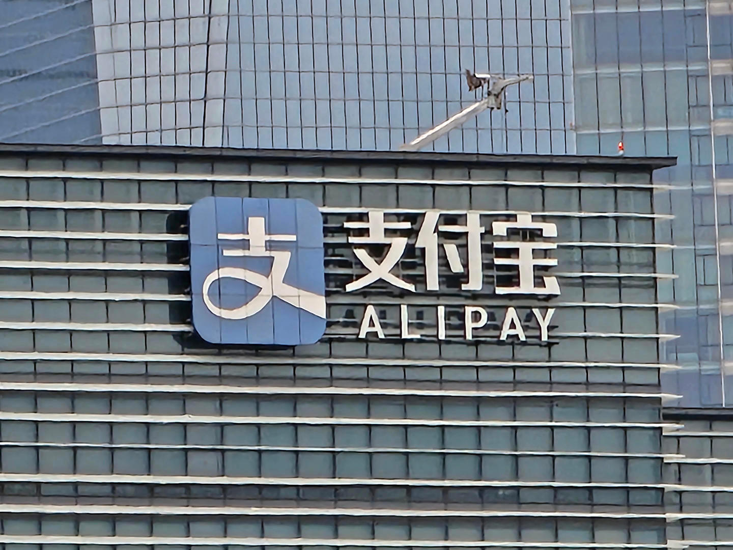 【#支付宝回应用户被扣款捐赠184万元#】#支付宝称被扣款捐赠账户不排除涉犯罪