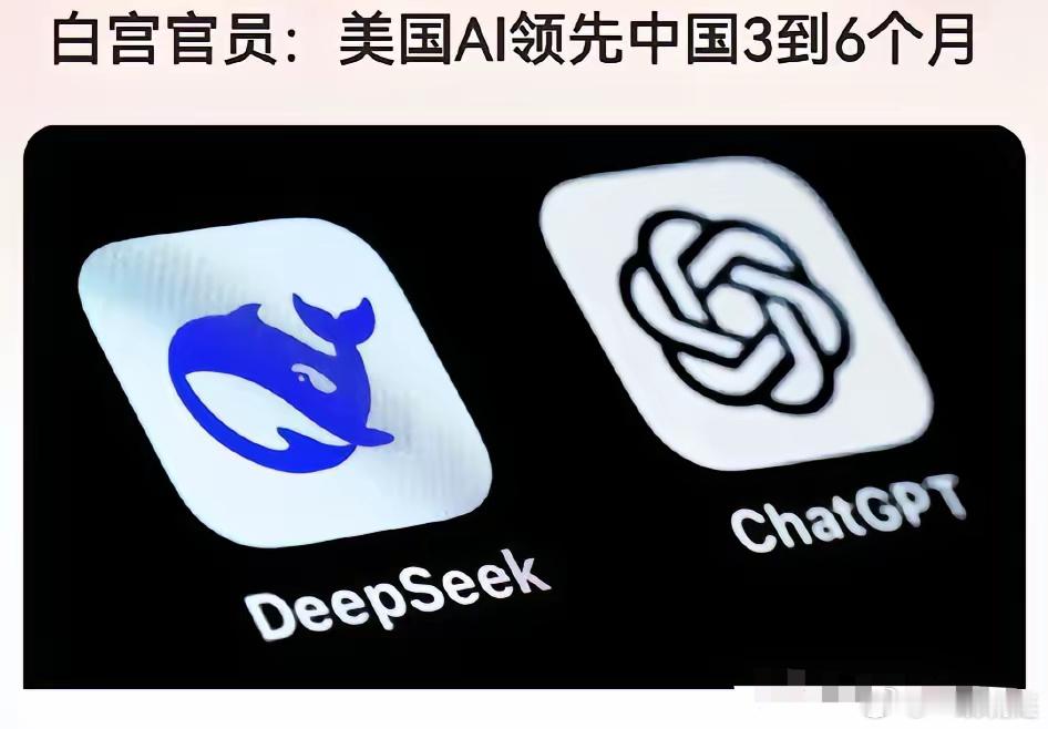 看看，世界各国对deepseek的态度！美国:进行安全审查，军队禁止使用，网络