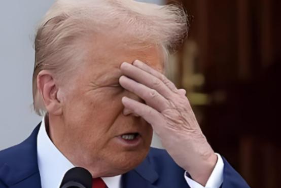 刚离职的白宫贸易顾问在私人酒会上透露：“特朗普最近对华示好全是演的，真正核心是为