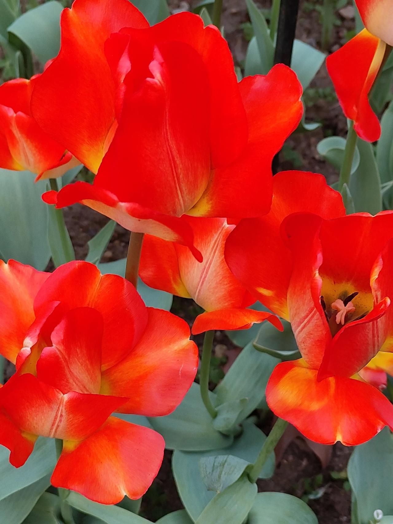 晒一张你拍的春天照片