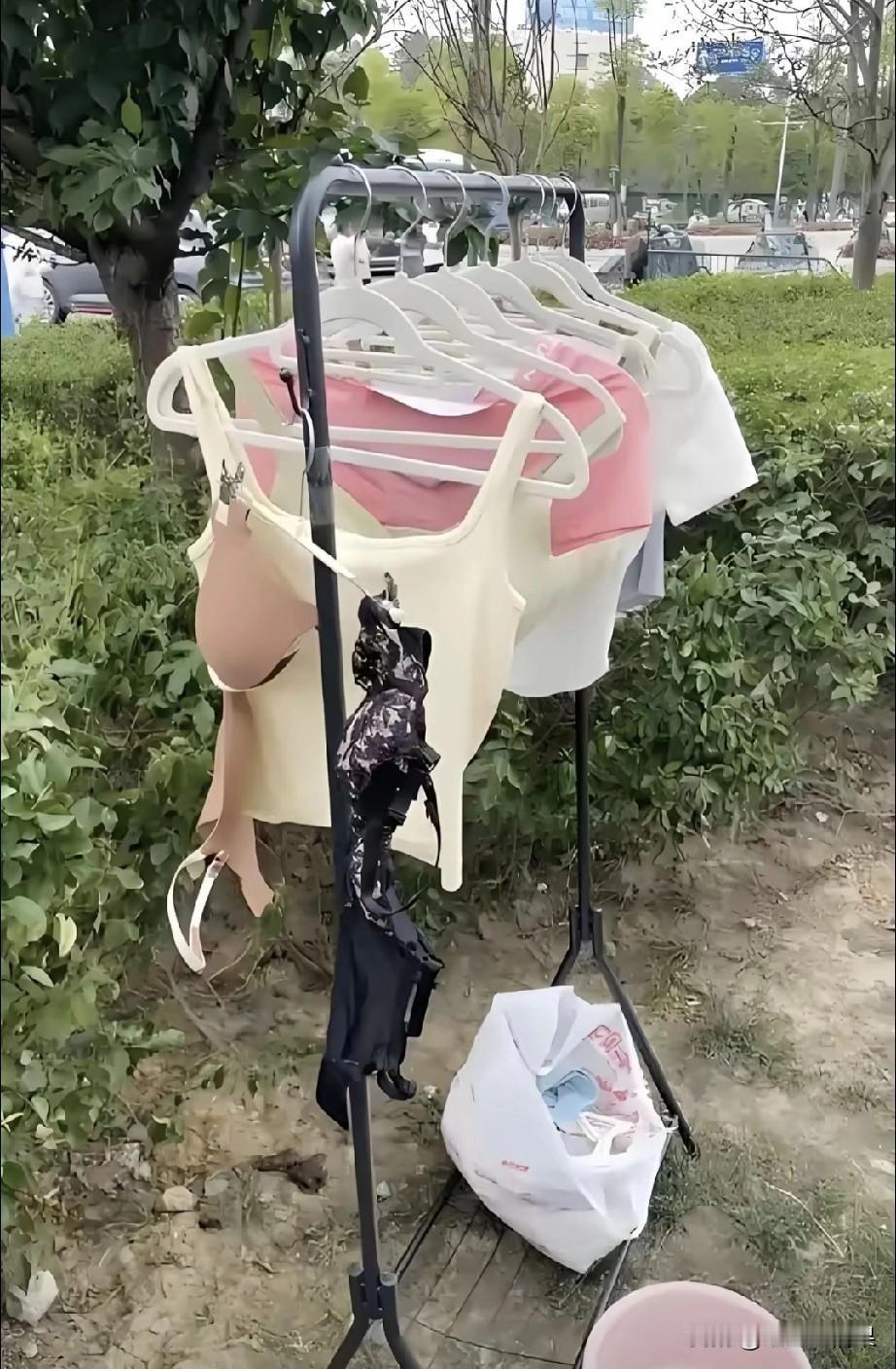 衣服为什么要晾晒到绿化带里面去，而且还都是清一色的女士贴身衣服，这不是给那些喜欢