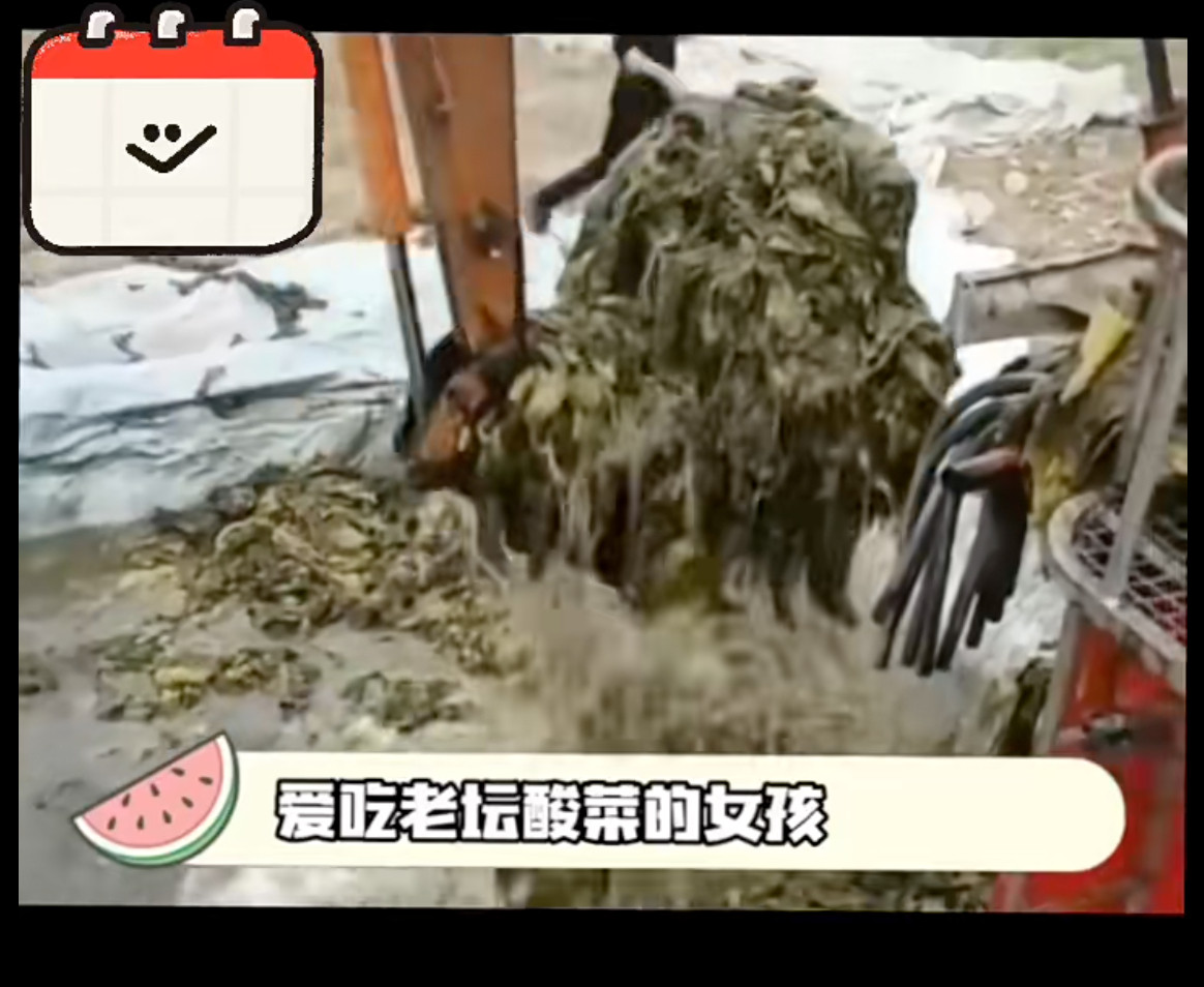 老坛酸菜已经塌无可塌了老坛酸菜能改名“老痰”酸菜如何鉴别是否正宗答曰：老痰+脚