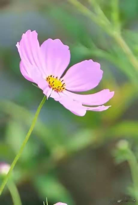 昨天和同学聊天，同学问了我一个问题：在一个家庭里，为什么男人不高兴或者不想干家务