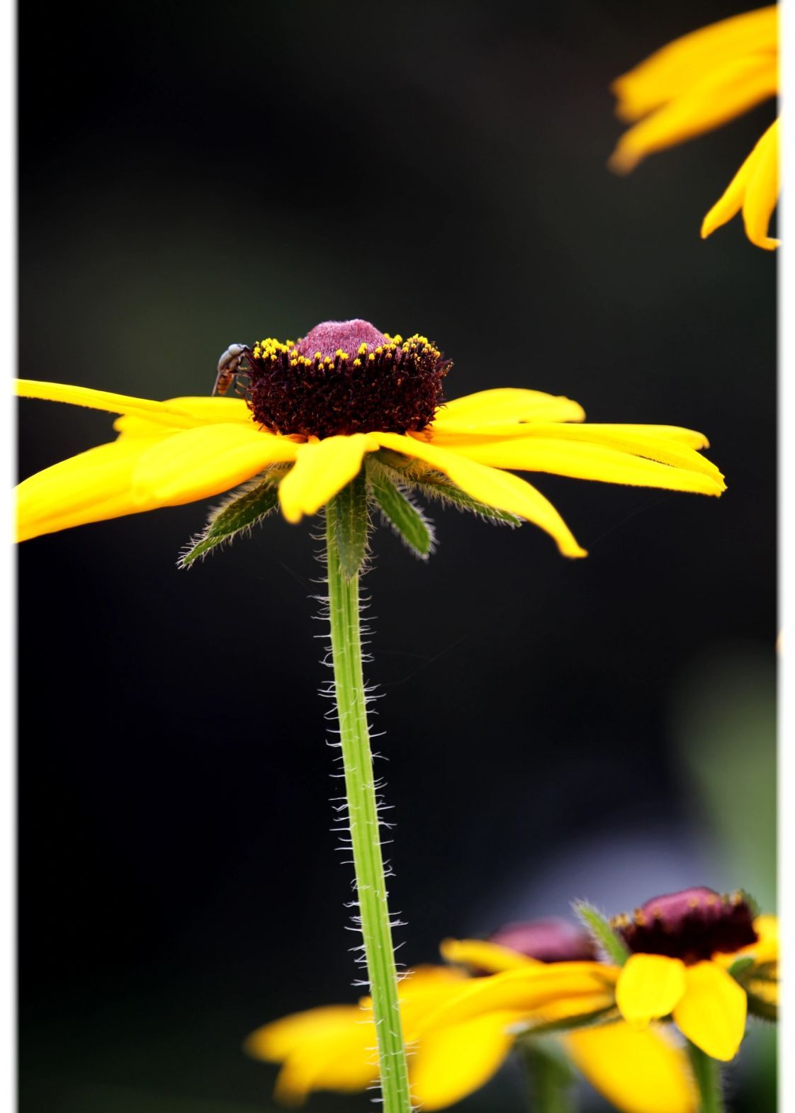 当你看透人性的本质，你的人生就能少走10年弯路！别再纠结人性善恶了。...