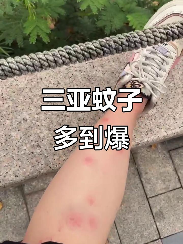 三亚与哈尔滨的蚊子有什么不同？三亚气候暖湿，蚊子全年活跃，种类多