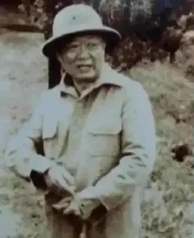 1964年，段希文率领泰北孤军，按约定向泰军上缴武器，换取居留资格。谁也不曾料