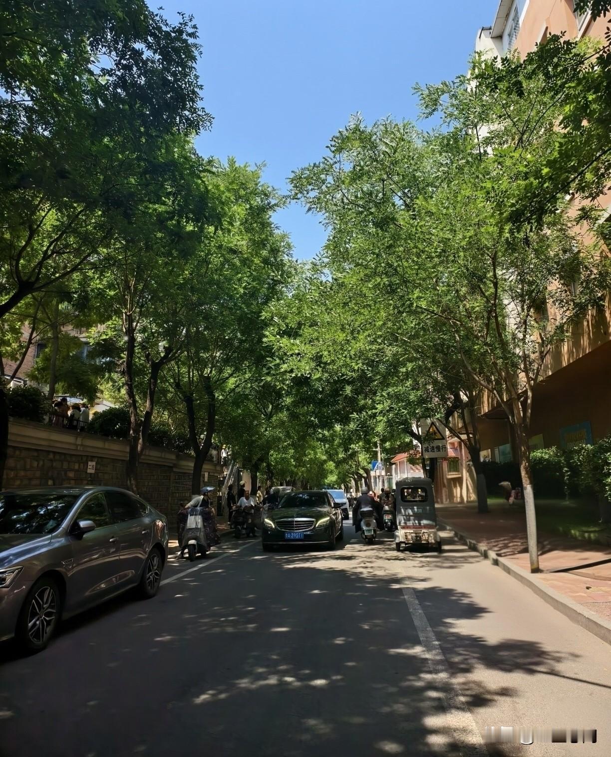 在山东，2026年退休的机关一级主任科员，每月养老金能拿到多少？昨天，在路