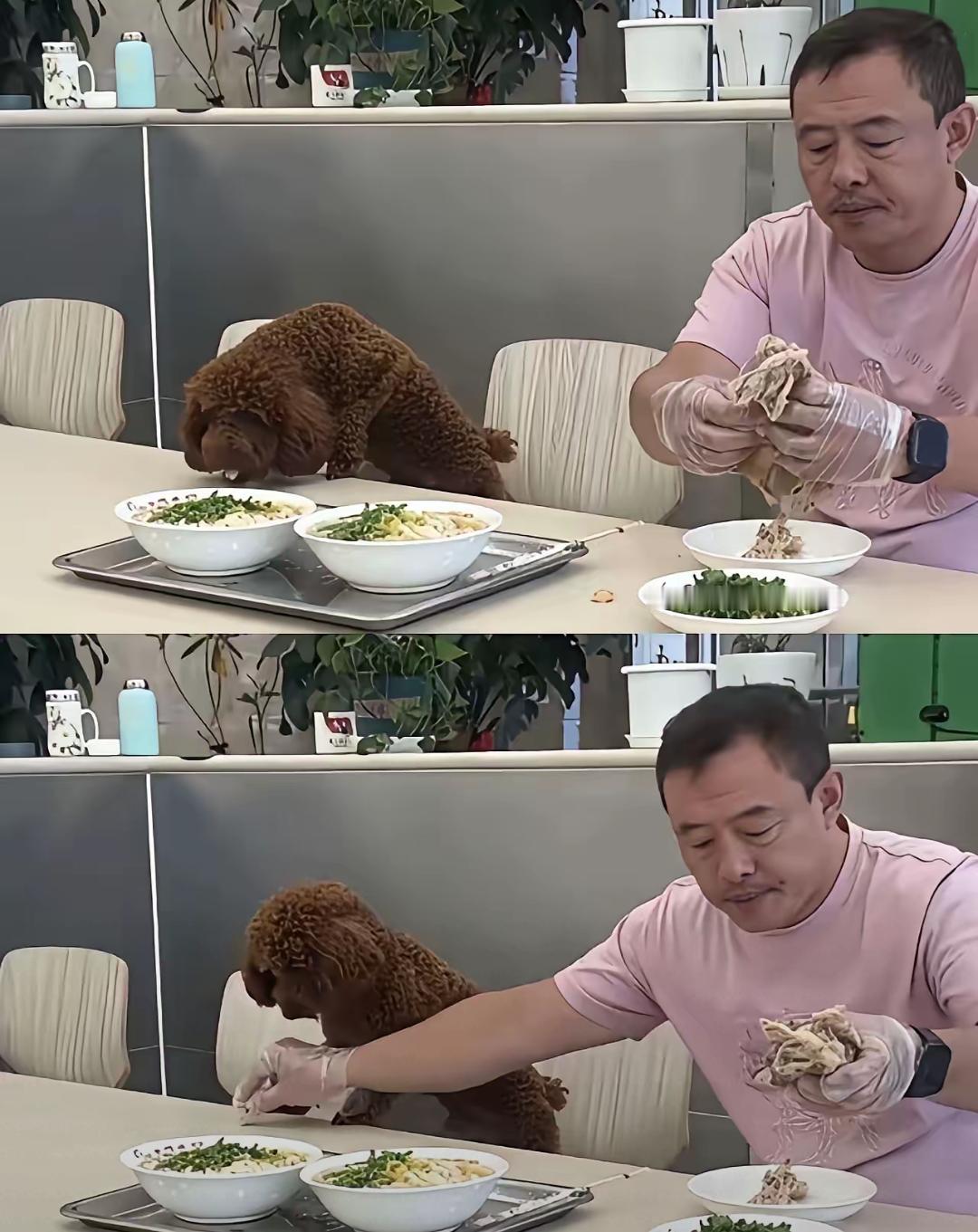 沈阳老四季这坎儿不好过开了二十多年的老面馆规矩一直写着不让带狗进店偏