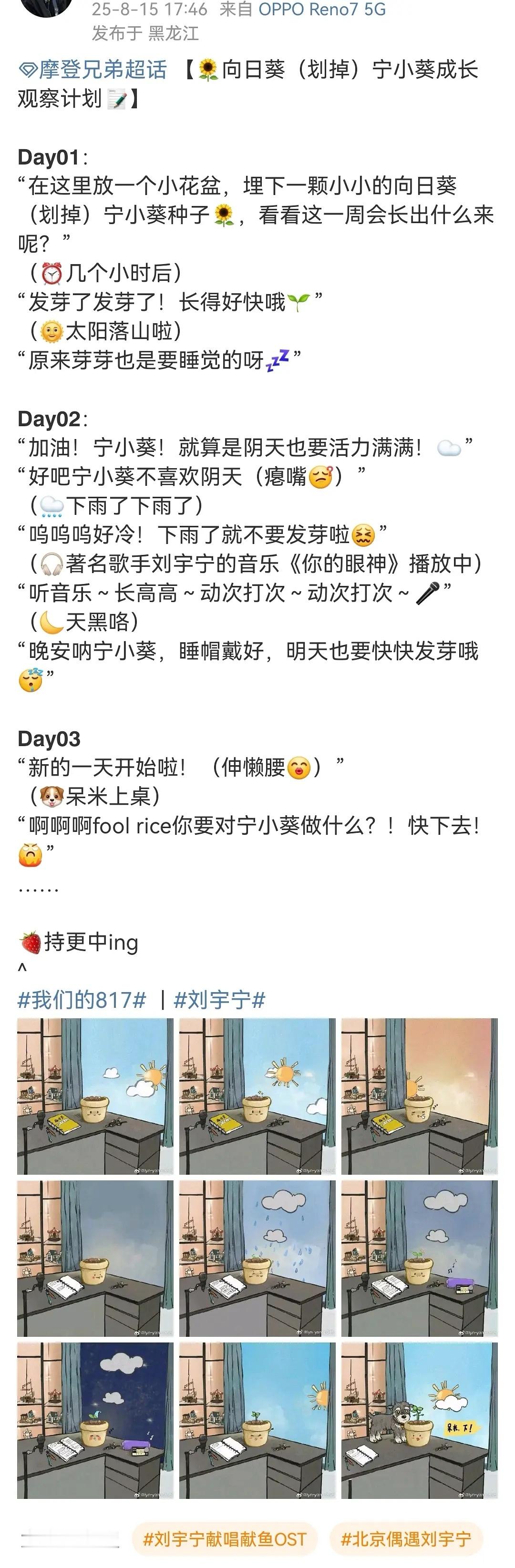 刘宇宁粉丝的画风不大对啊别家撕来撕去，他家在种向日葵，可可爱爱的😂​​​