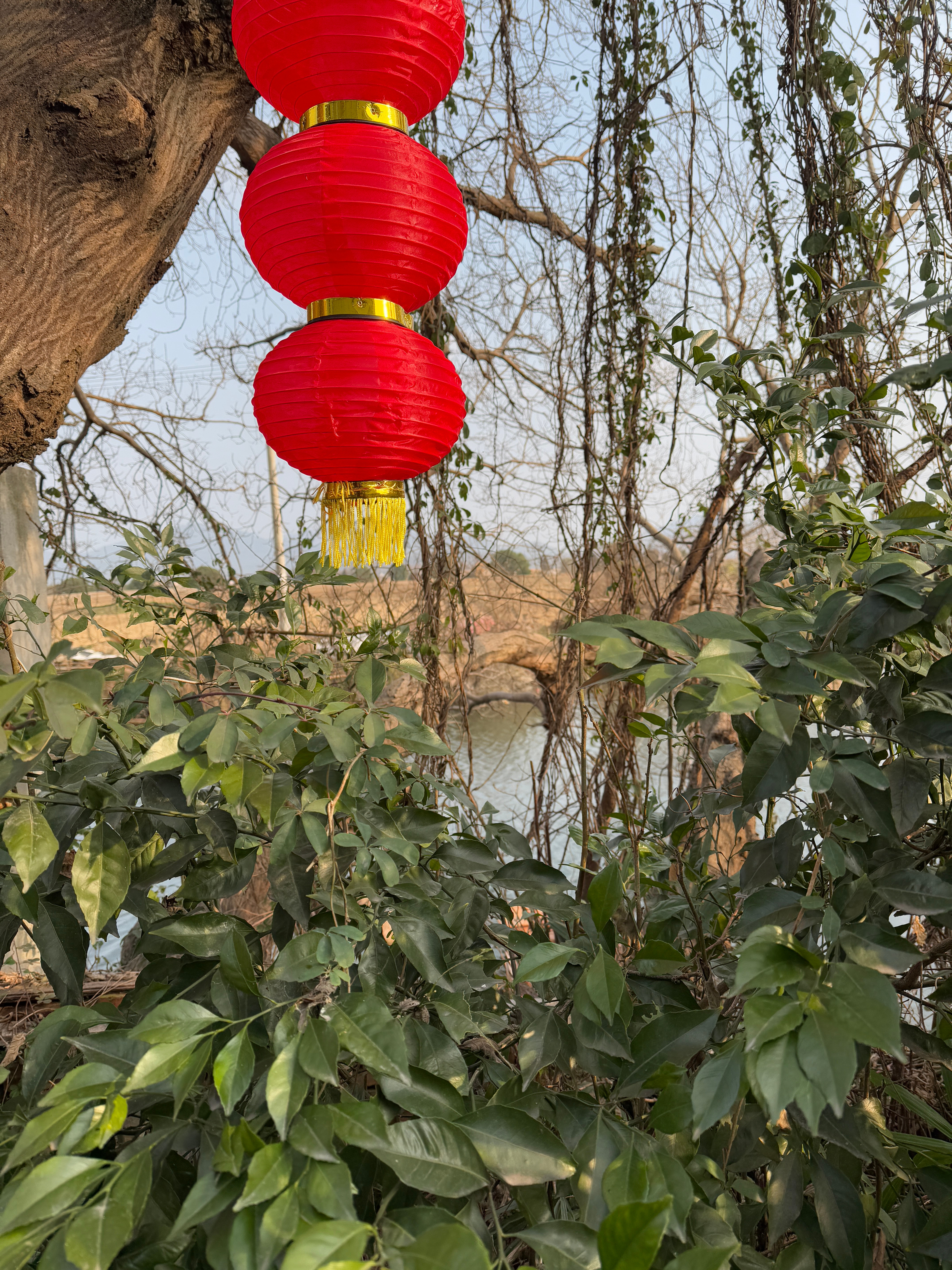 在姑妈家晒晒太阳[比心]