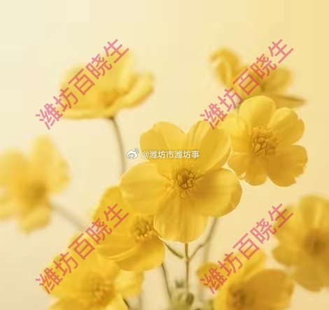 今年修改教师法新教师法迟迟不出台，真的卡在职称上？新教师法迟迟不出台，真的卡在职