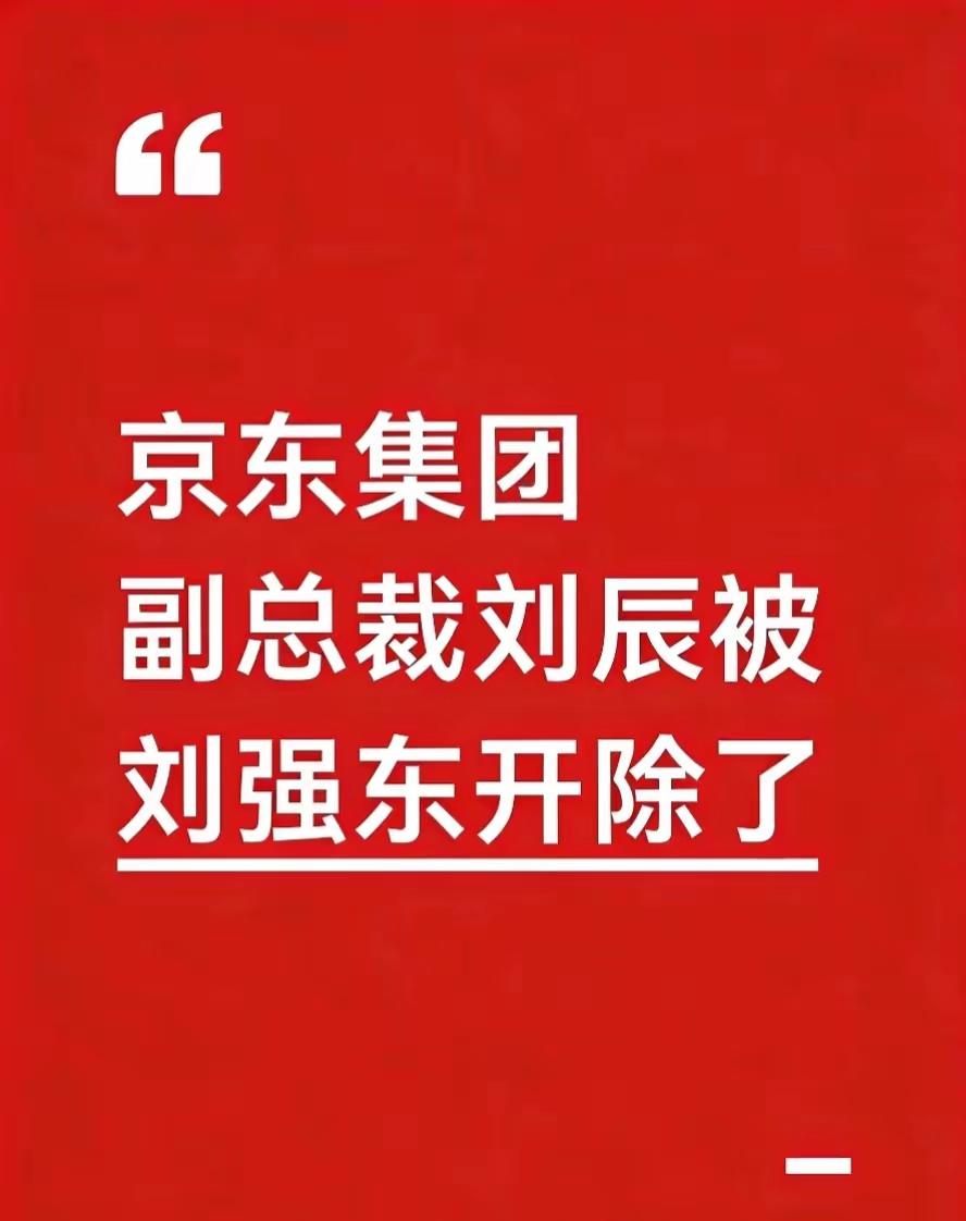 刘强东这次下手，是真没给留余地。京东集团副总裁刘辰被开除的消息，几家媒体都