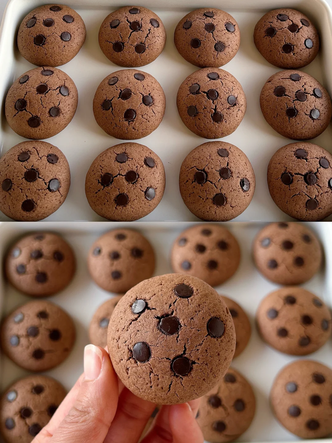 零失败‼️在家复刻趣多多曲奇饼干，免打发