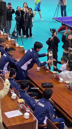 重庆主办方好会啊，特意安排一个女孩子给王楚钦送礼物。看王楚钦，起立弯腰慢慢的，