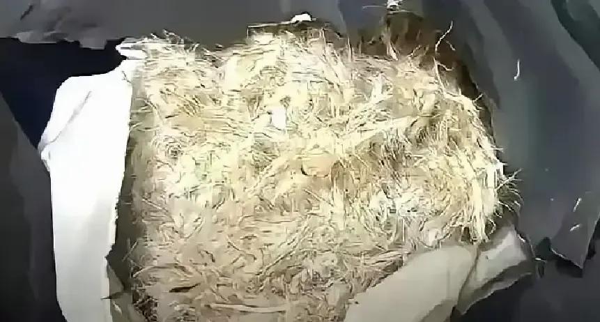 老张拍视频说冬天不买羽绒服，只穿三百块的丝棉服。我看完直接翻出我妈三十年前缝的