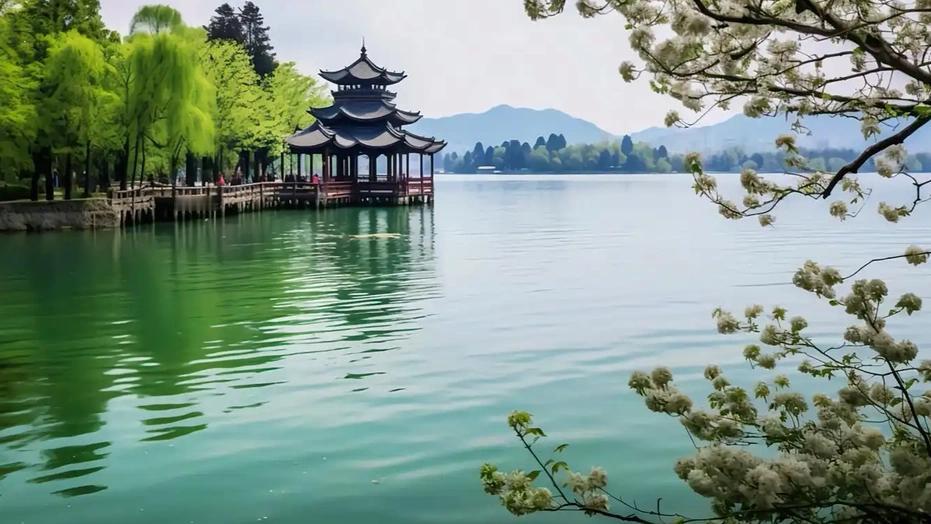 自4月8日晚间起，杭州西湖开启为期一周的荷区清塘养护工作。此次将对24个荷区、共