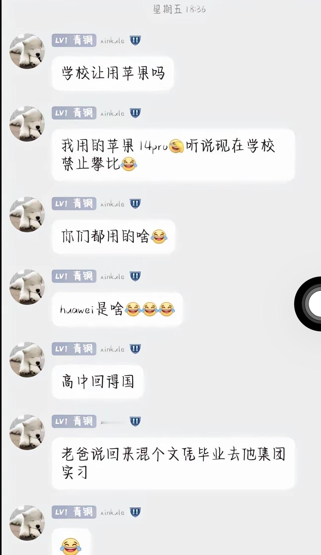 相亲相爱班级群本次更新六则。（依旧很平常的一集）