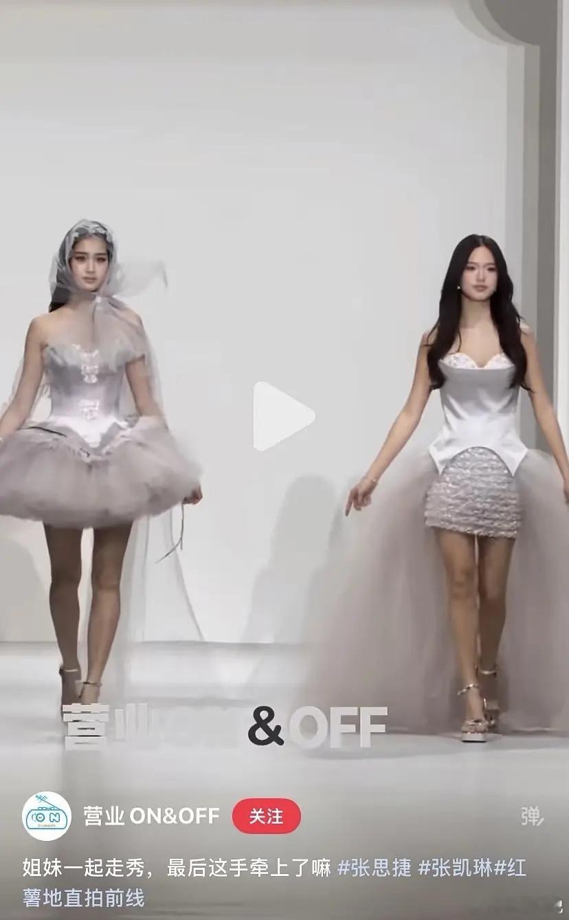 钟丽缇的两个女儿是不是太着急想接商务了