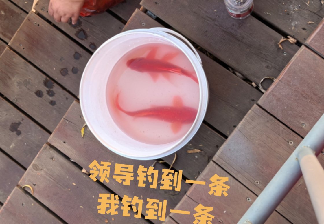 团建当得知团建的消息焦虑了好几天，幻想着会不会跟前单位一样，领导每次提杯非要说点啥，劝人喝酒，还有烦