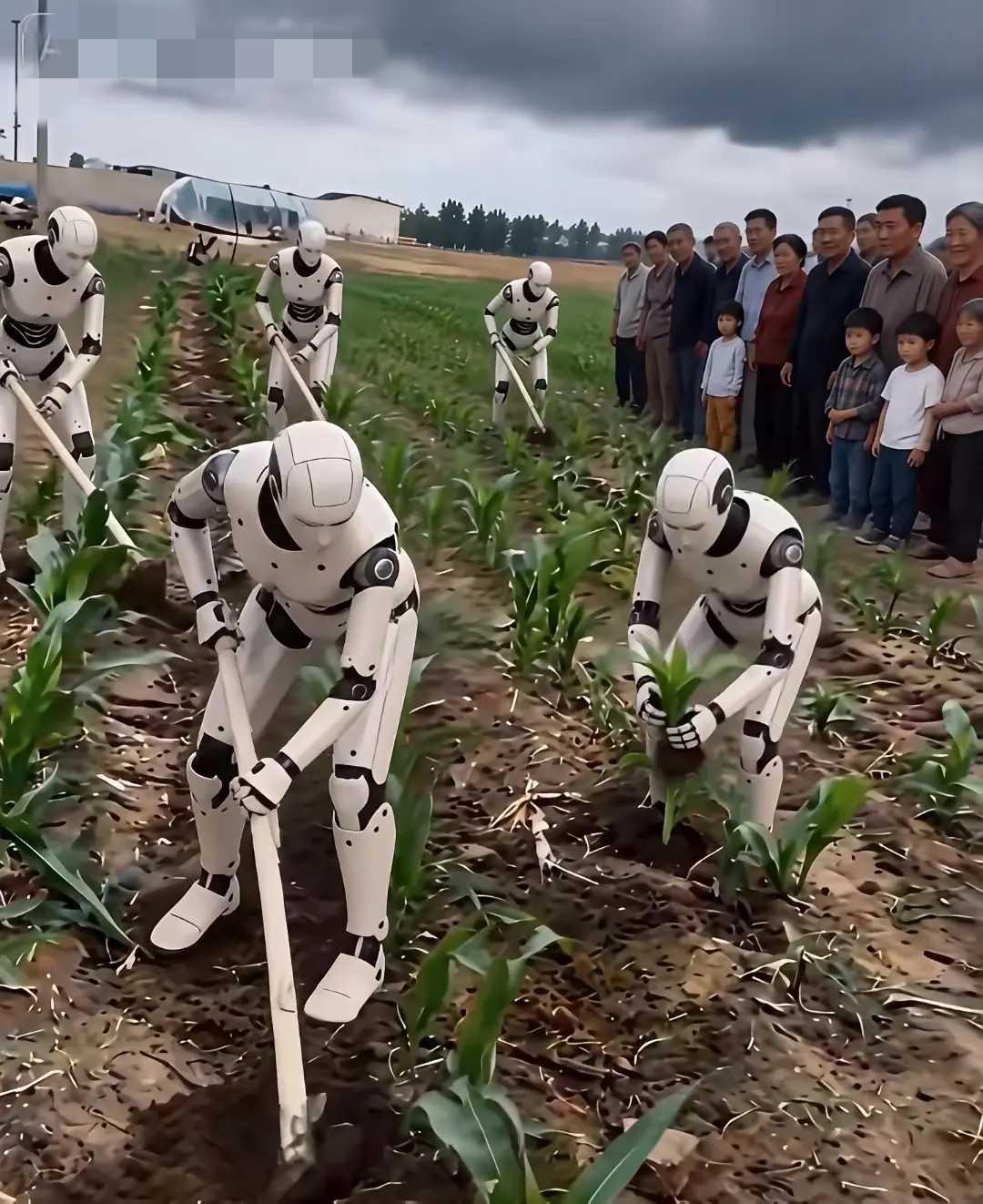 以后发展会不会这样子？