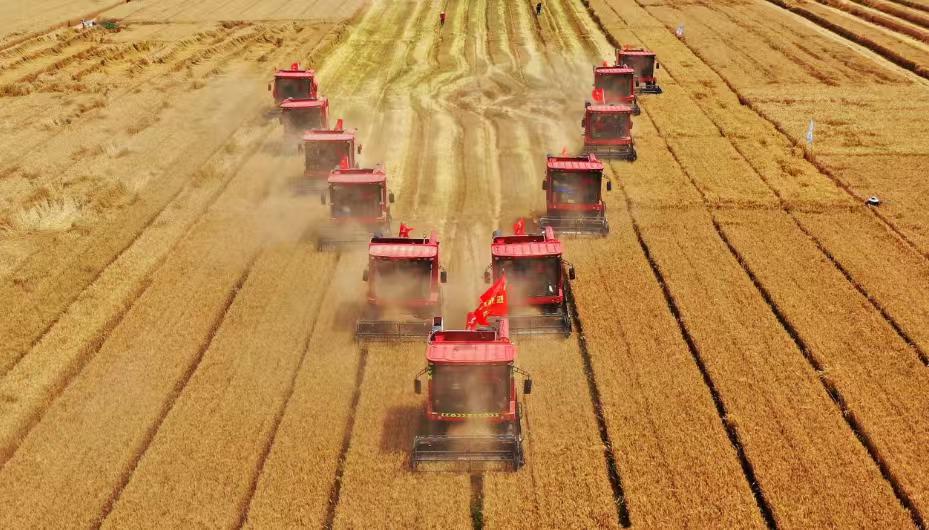 中国十大农场排行榜新时代背景下，中国农场早已突破传统耕种边界，形成规模化种植