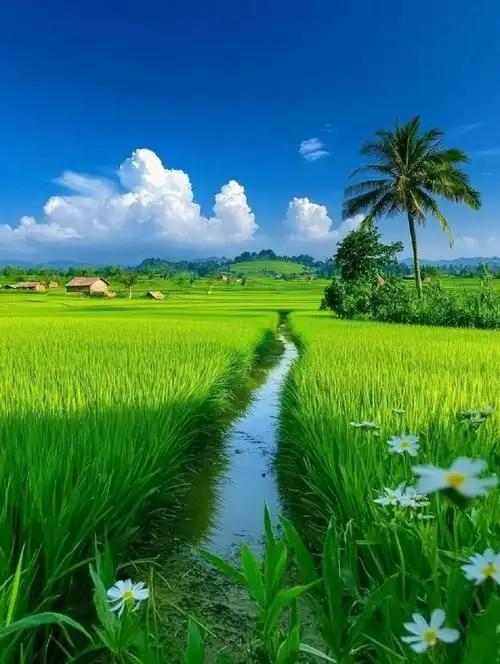 眼睛喜欢的12样，1、看绿色树叶，2、远眺，3、转眼珠，4、菠菜，